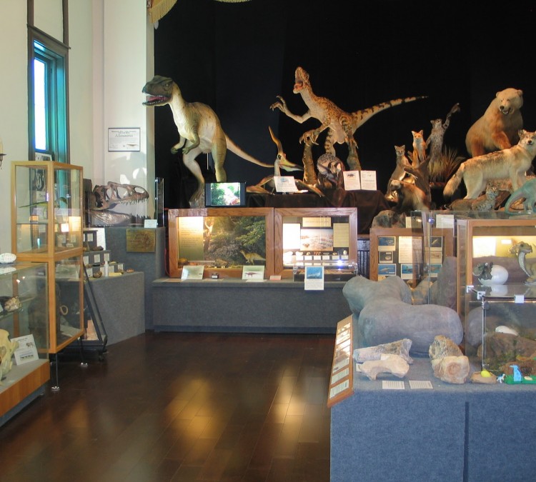 Bollinger County Museum of Natural History (Marble&nbspHill,&nbspMO)